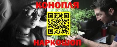 крисы Новоалтайск